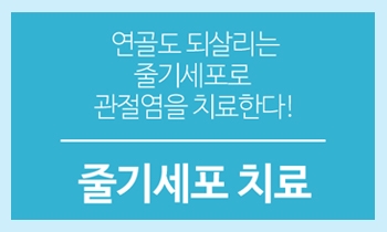 줄기세포를 이용한 관절염 치료, 강남연세사랑병원과 함께 확인해보세요!