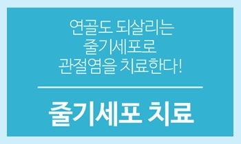 줄기세포를 이용한 관절염 치료, 강남연세사랑병원과 함께 확인해보세요!