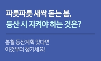 파릇파릇 새싹 돋는 봄, 등산 시 지켜야 하는 것은?